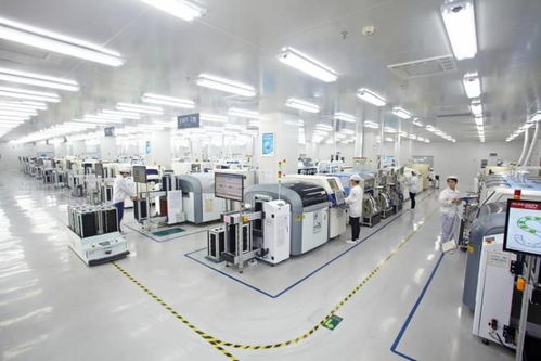 向著春天,出發 建行深圳市分行金融服務助力特區高質量發展